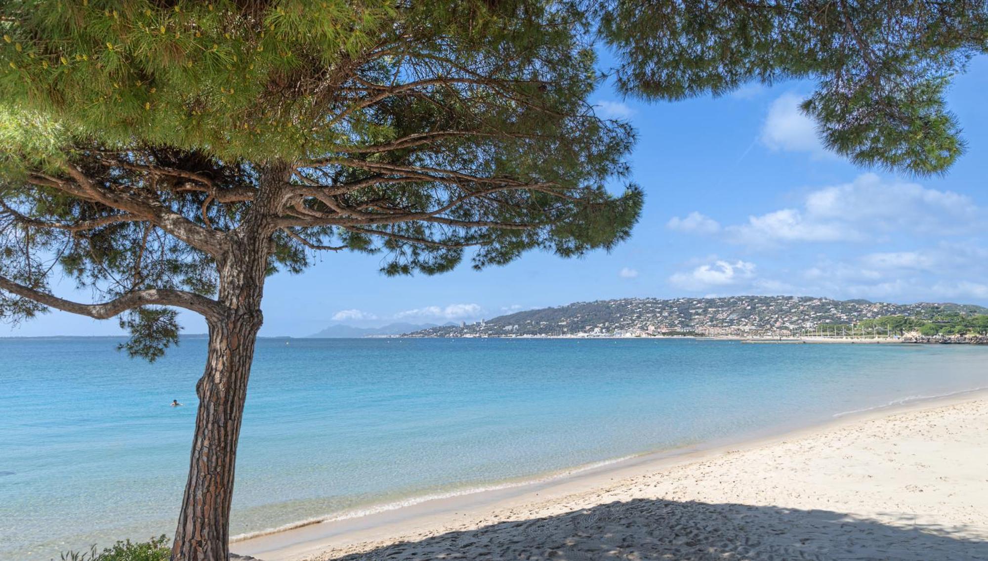 Les 15 Pins & La Mer -Your Green Getaway Near Sea & Beach อองทีบส์ ภายนอก รูปภาพ